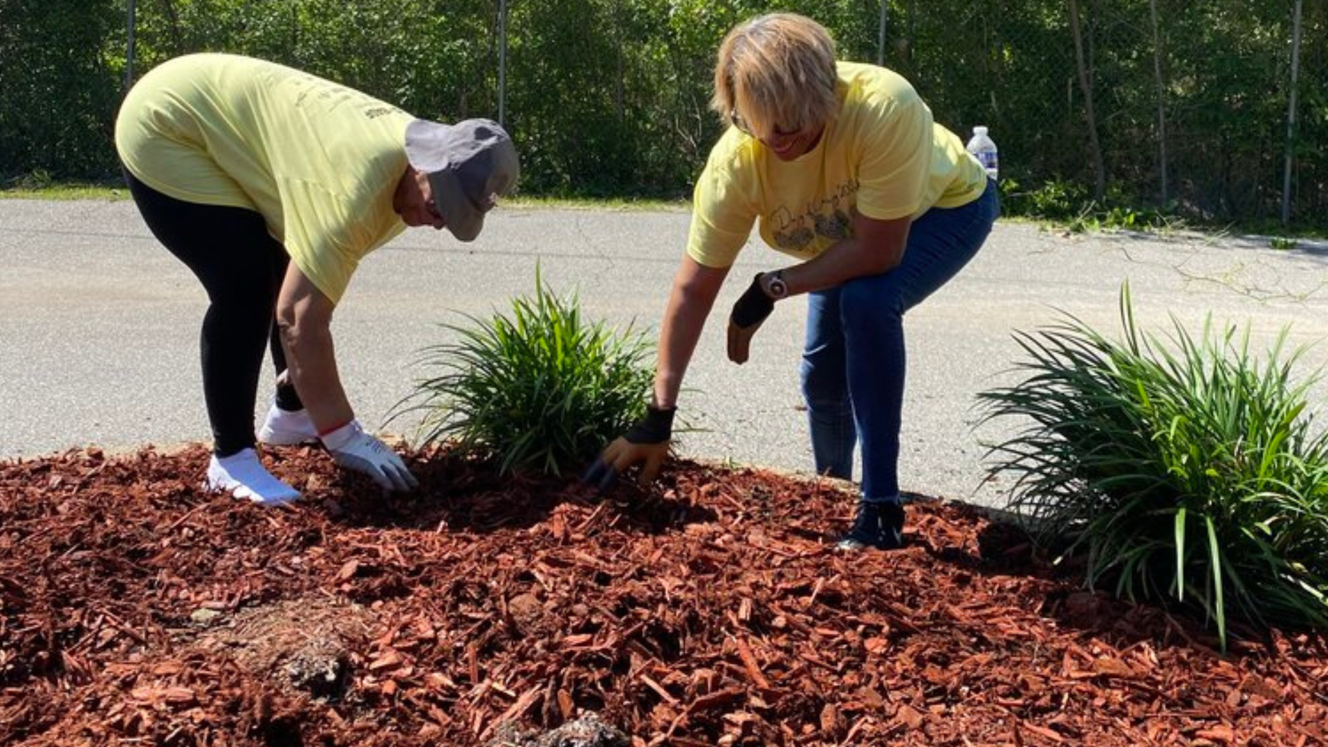 Image of two female Spire employees laying mulch at a volunteer event