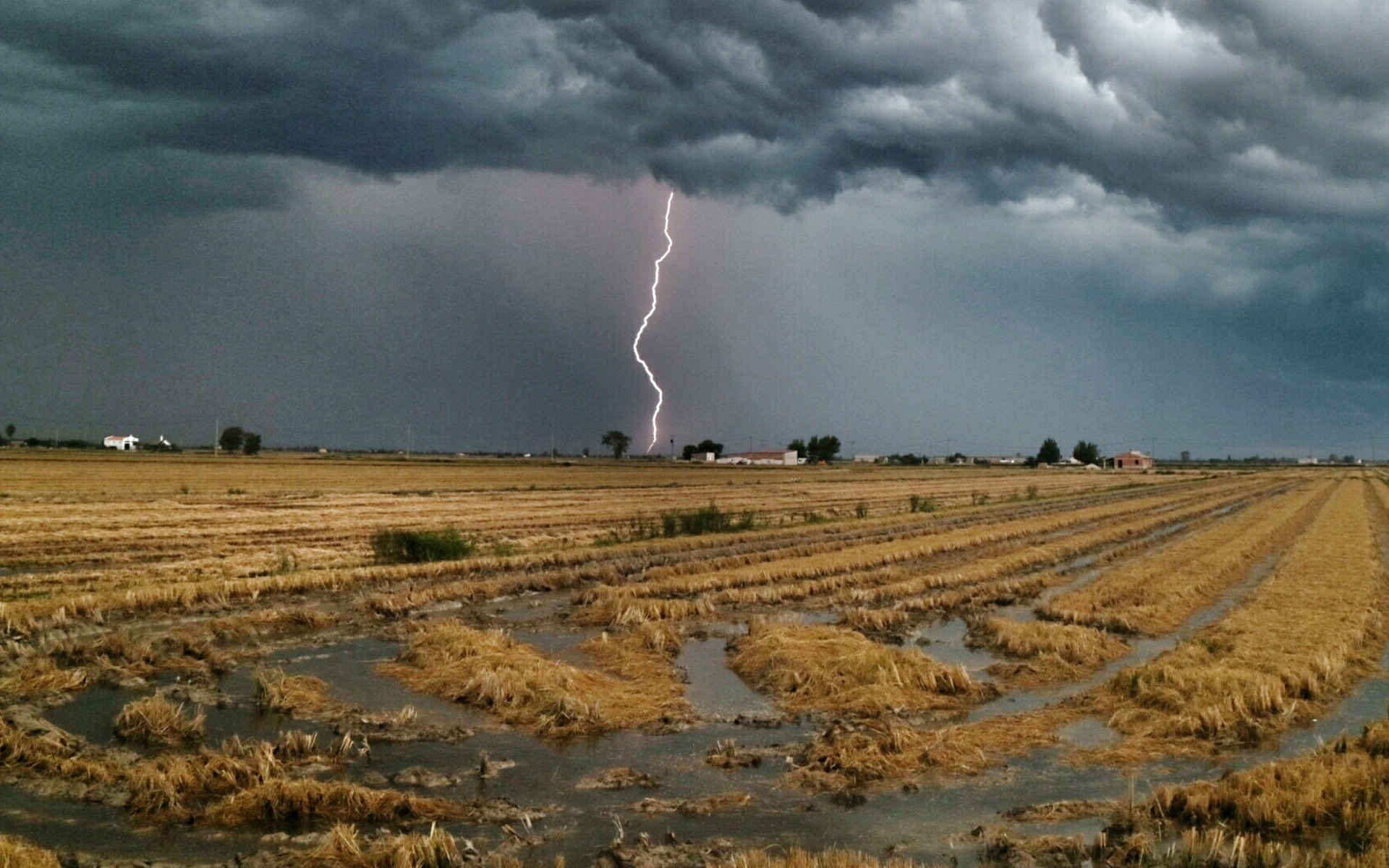 Natural gas safety during severe weather spire inc 