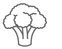 Broccoli Icon