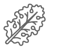 Kale icon
