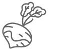 Turnip Icon