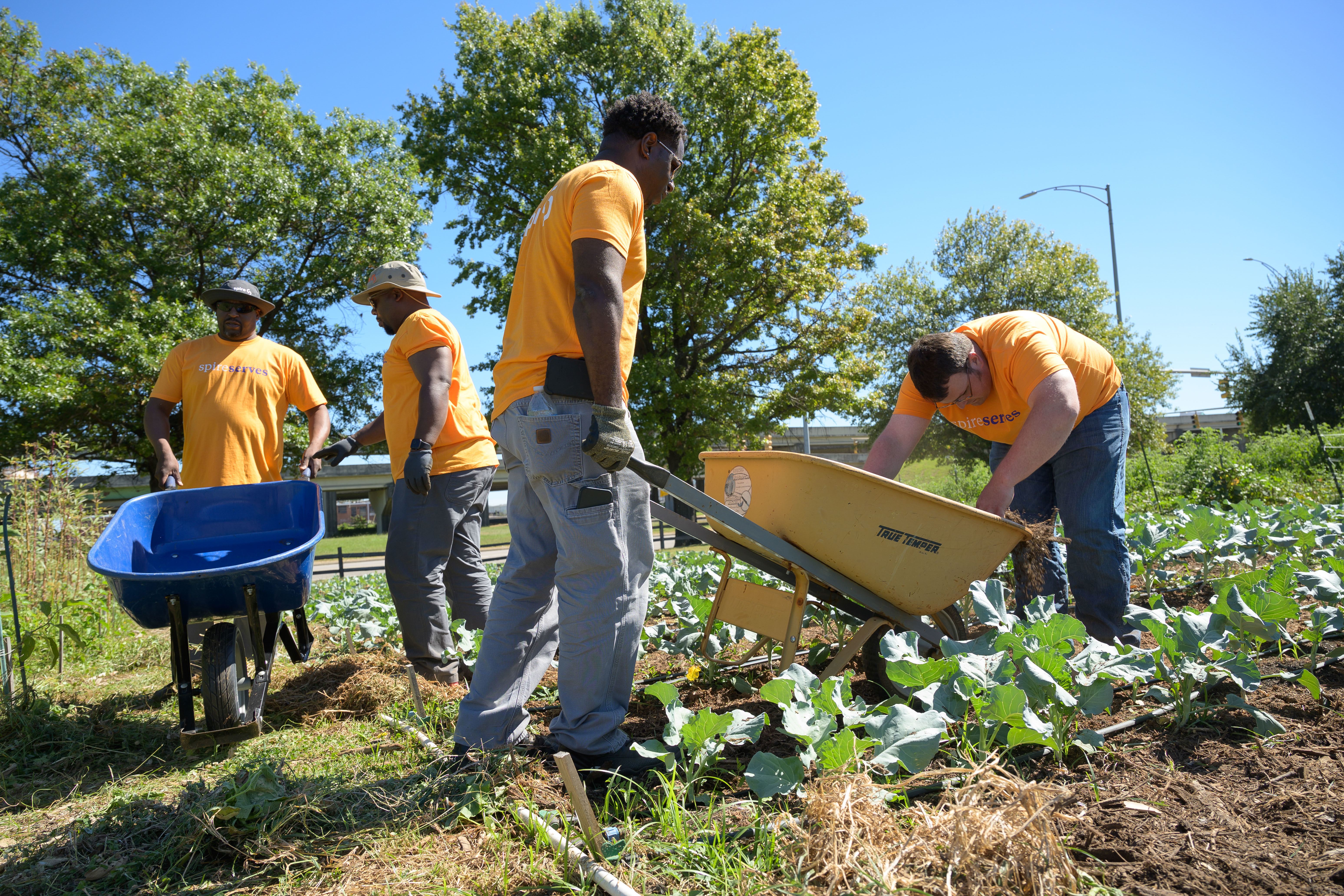 Spire employees working in a garden