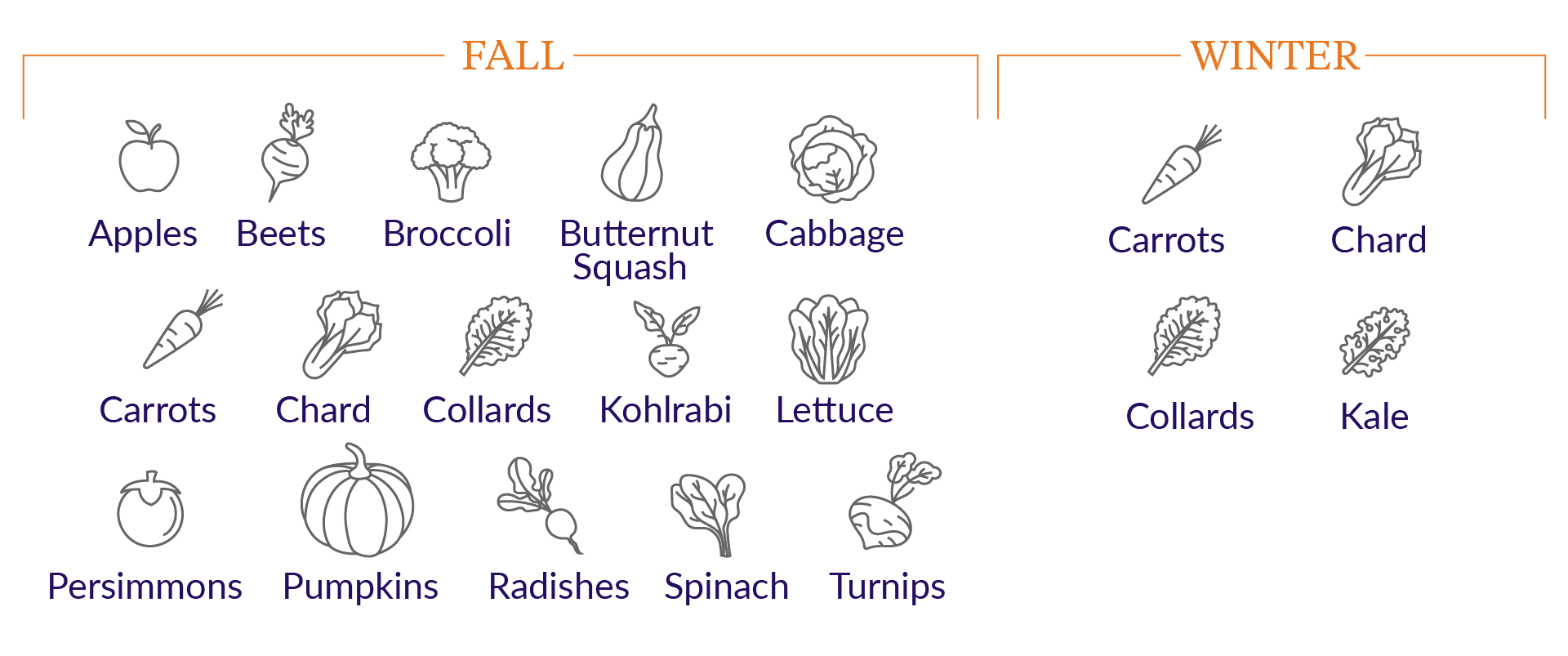 This image includes the crops in Alabama Zone 7B that grow best in fall and winter.