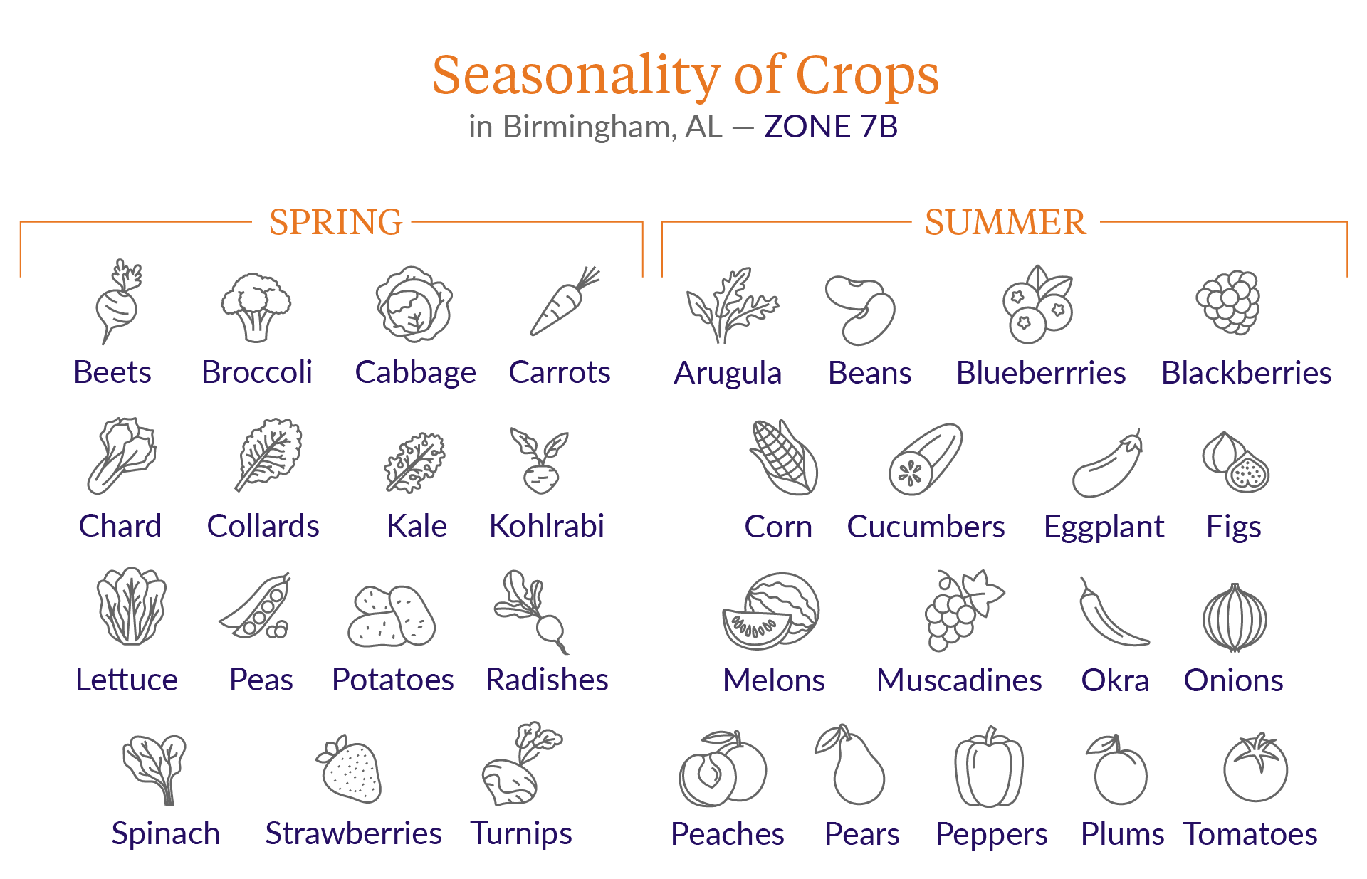 Image reads Seasonality of Crops in Birmingham, AL - Zone 7B. The information included within the image has all the plants that grow best in spring and summer.