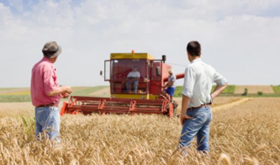 Two men in field with tractor
