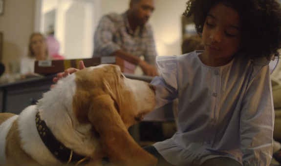 Little girl petting dog