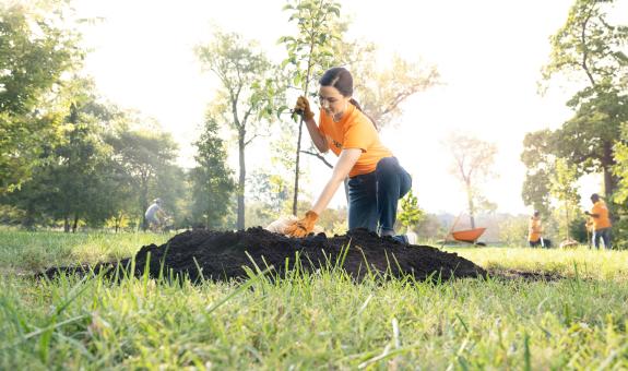 Image of: Woman planting a tree