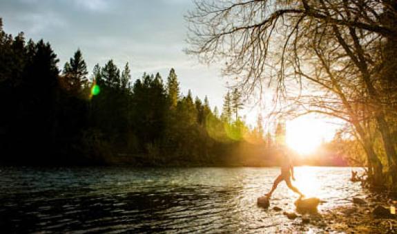 Image of river in a forest at sundown