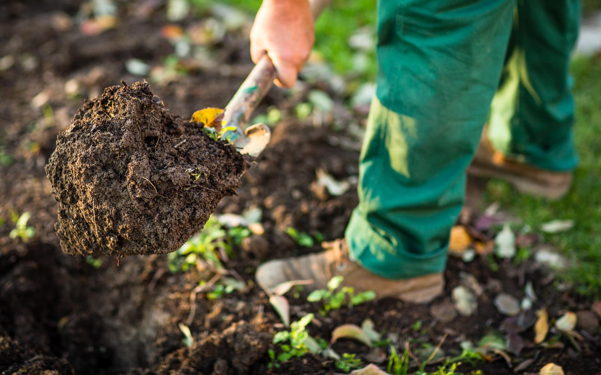 Digging in dirt