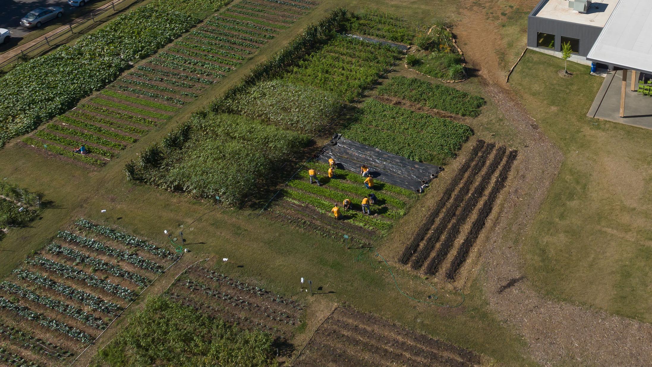 Jones Valley, Alabama Crop Land