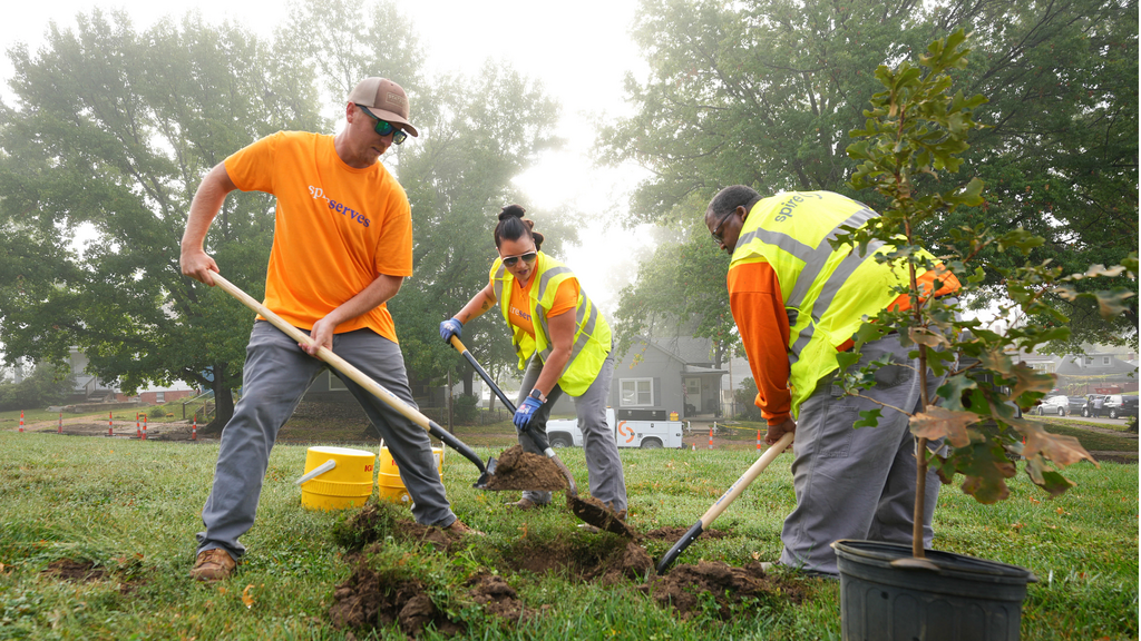 Image of crew planting trees