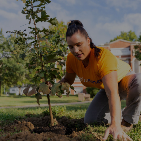 Image of woman planting tree